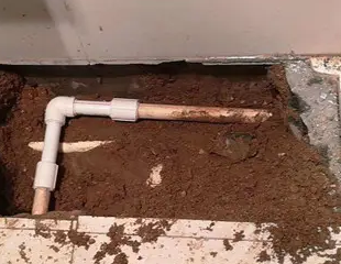 易门测漏水哪家好