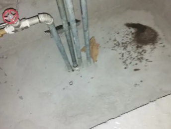 易门卫生间测漏水价格明细