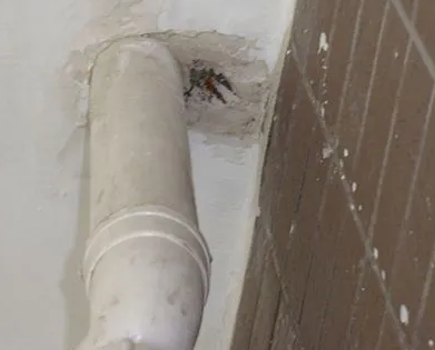 易门漏水检测哪家好